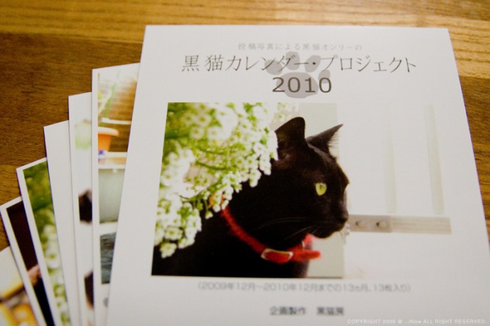 黒猫カレンダー・プロジェクト
