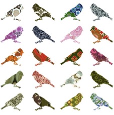birds