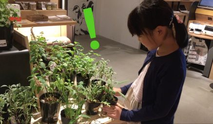 blog1