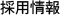 採用情報