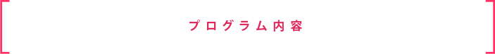 プログラム内容
