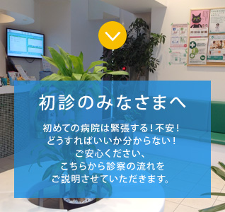 のイメージ