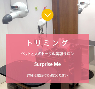 のイメージ