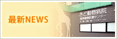 最新NEWS
