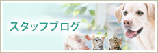 スタッフブログ