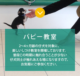 のイメージ